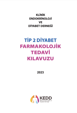 tip2diyabet2023